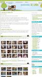 Mobile Screenshot of basisschooldelinde.be